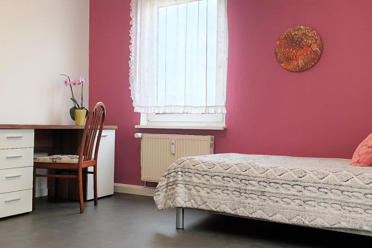 Apartment Bayreuth, Grosse Ferienwohnung Im Haus Mit Kunst, 3 Schlafzimmer, Kueche, Parkplatz Zewnętrze zdjęcie