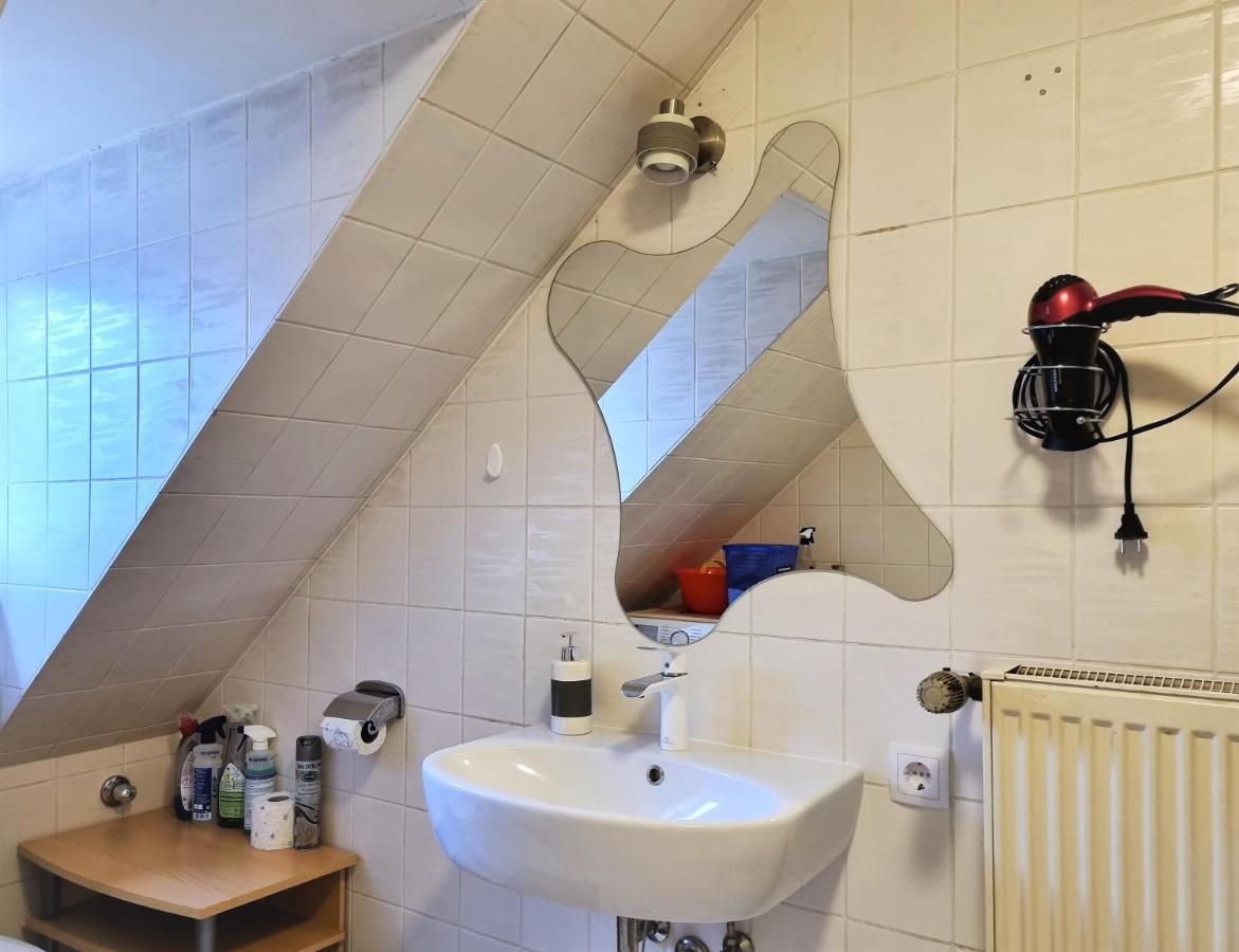 Apartment Bayreuth, Grosse Ferienwohnung Im Haus Mit Kunst, 3 Schlafzimmer, Kueche, Parkplatz Zewnętrze zdjęcie