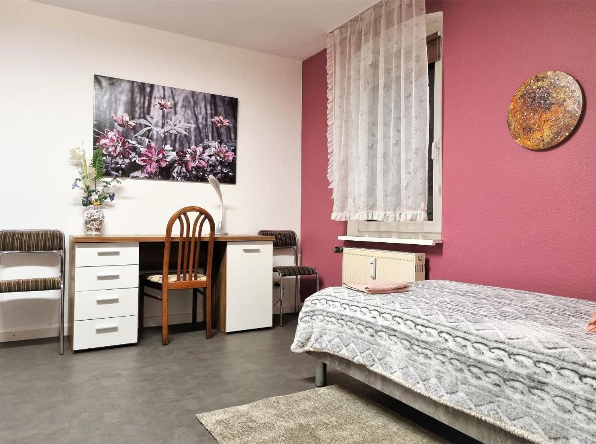 Apartment Bayreuth, Grosse Ferienwohnung Im Haus Mit Kunst, 3 Schlafzimmer, Kueche, Parkplatz Zewnętrze zdjęcie