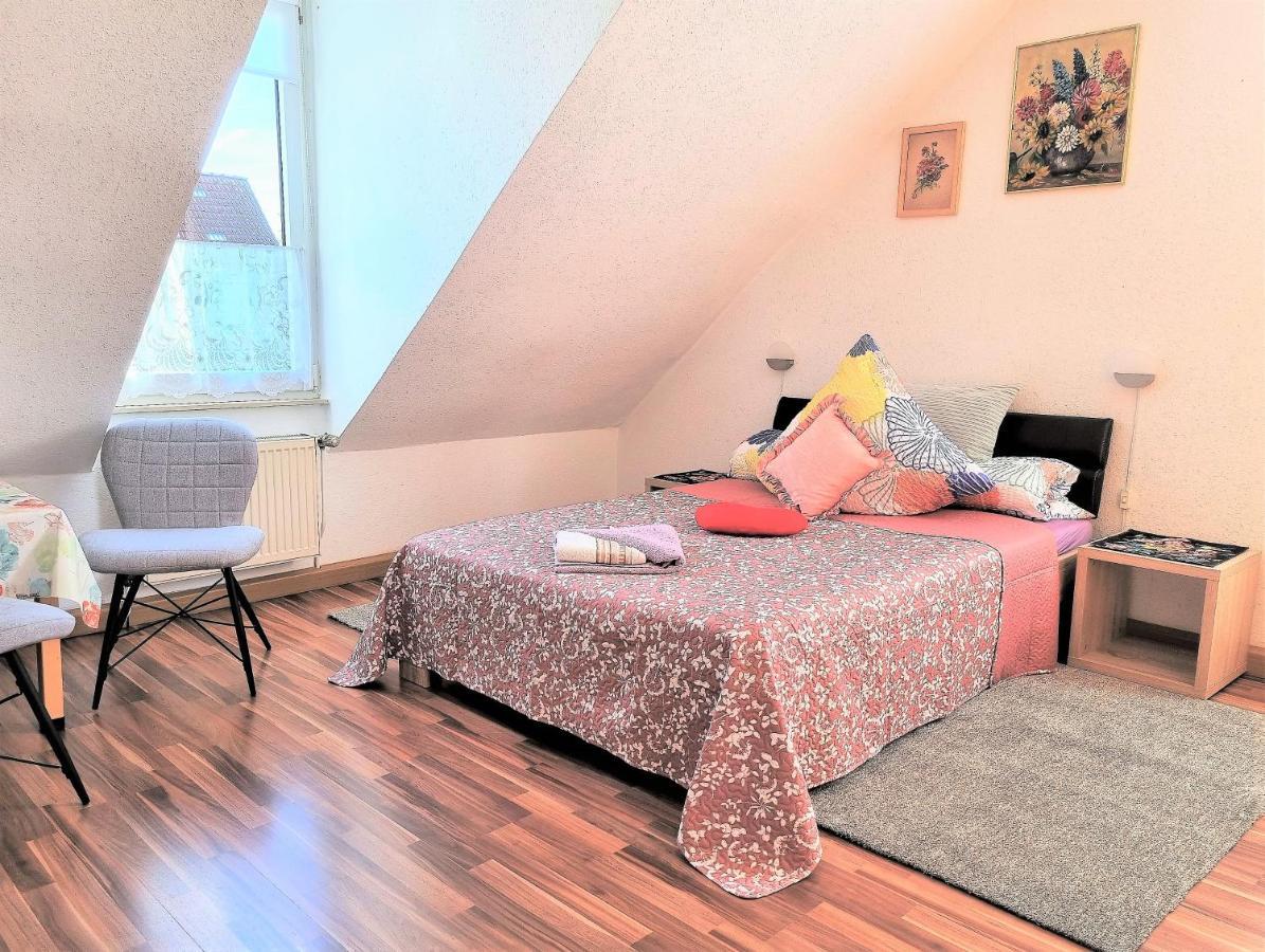 Apartment Bayreuth, Grosse Ferienwohnung Im Haus Mit Kunst, 3 Schlafzimmer, Kueche, Parkplatz Zewnętrze zdjęcie